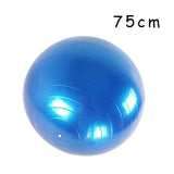 Glossy Fitness Balls /Balance Ball