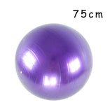 Glossy Fitness Balls /Balance Ball